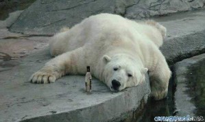 Efes Ukraine представляет рекламный ролик пива «Белый Медведь»: «Для людей с большим сердцем»