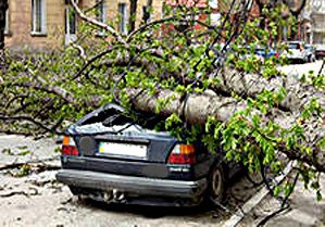 СК “Axor”- Как получить выплату при повреждении авто от падения дерева, кирпича и т.д.