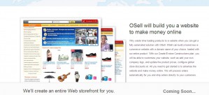 OSell озвучил перспективы развития российской онлайн-коммерции