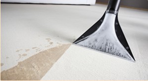 Как чистить ковры в домашних условиях
