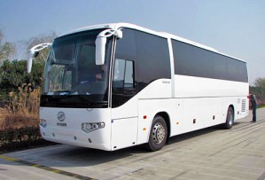 Заказать автобус: краткий обзор услуг транспортных фирм