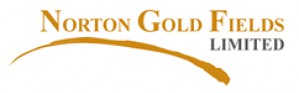 TrueConf обеспечил работу системы видеоконференцсвязи ведущего золотодобывающего предприятия Австралиии Paddington Gold Pty Ltd