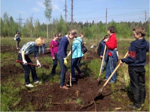 Молодогвардейцы посадили деревья во всероссийский день посадки леса