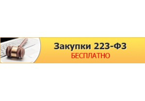 Бесплатное проведение электронных закупок по 223-ФЗ 
