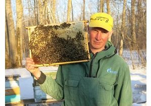 Компания НатурПчёлоПродукт: Купить пчел Карника можно будет в мае и июне