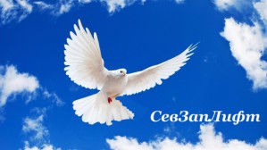 ООО «СевЗапЛифт» обновило ассортимент оборудования