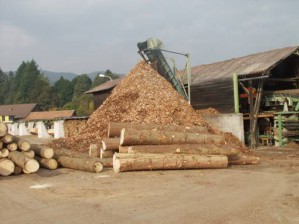 Разработка новых типов изделий из отходов дерева, как добавочный ресурс прибыли