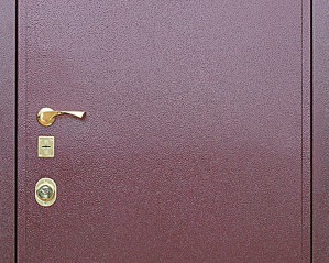 Двери металлические с порошковым покрытием: только преимущества!