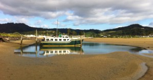 Переезд в Новую Зеландию: важные особенности и советы экспертов