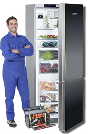 Ремонт холодильников: помощь при выходе из строя оборудования