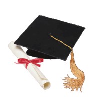 Как справиться с глупостью и тупостью