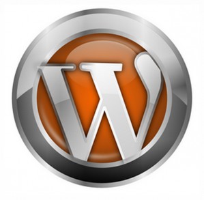 Блог на движке Wordpress: доменное имя сайта и начальная стадия оптимизации блога