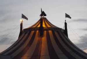 В Барнауле откроется «умный» цирк