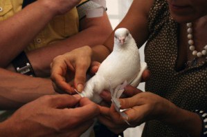 У павильона «Алтарь наций» сотня белоснежных голубей унесла в небо заветные желания одесситов