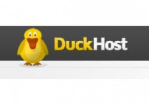 Хостинг-пакет Duck-Host признан самым выгодным для интернет-магазина 