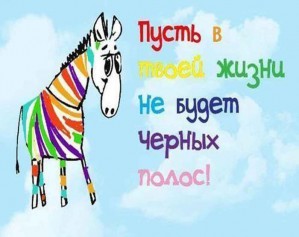 Жизнь, как зебра, только разноцветная