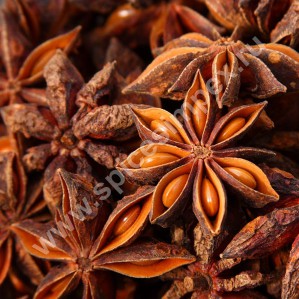 Компания Spices Impex расширяет ассортимент индийских специй